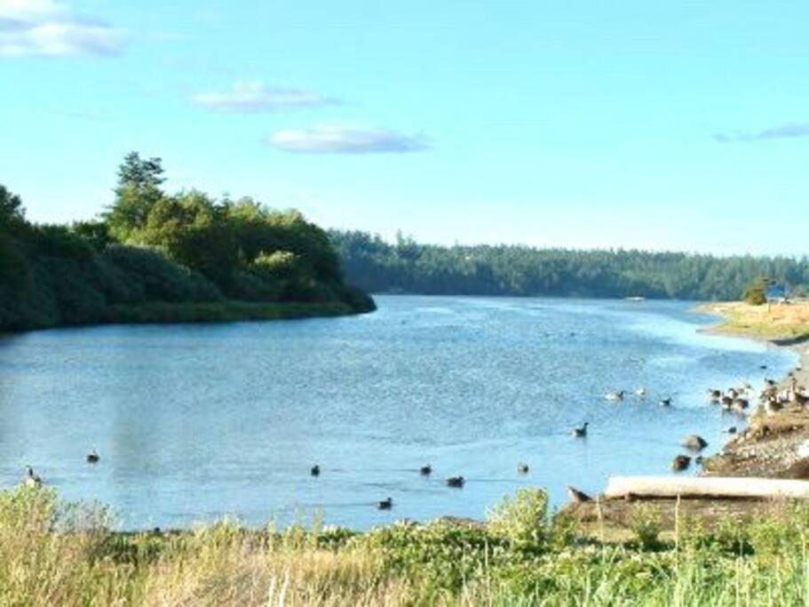 Апартаменти Esquimalt Lagoon Life Вікторія Екстер'єр фото